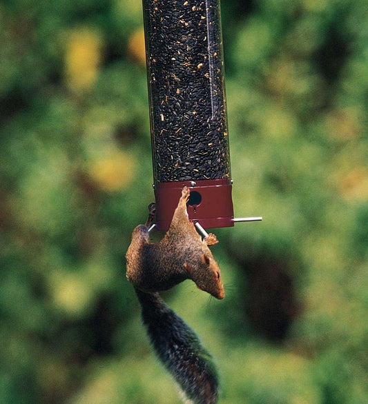 Plow & Hearth Bird Feeders Yard & Garden Yankee Dipper