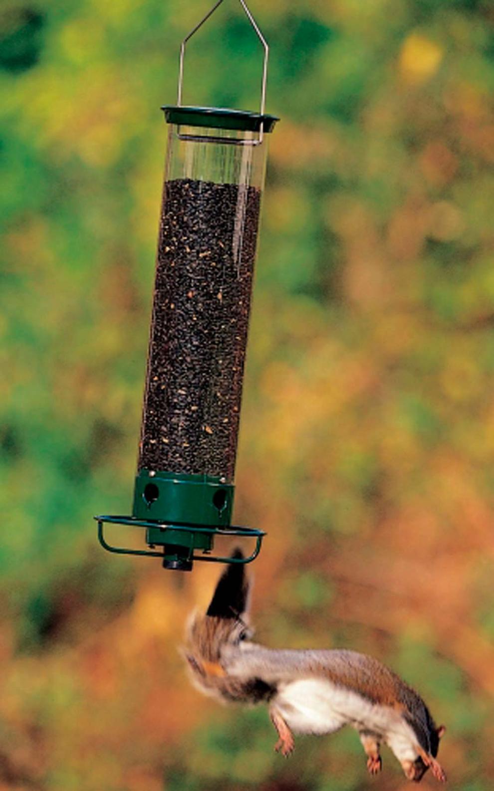 Plow & Hearth Bird Feeders Yard & Garden Yankee Flipper® Bird Feeder