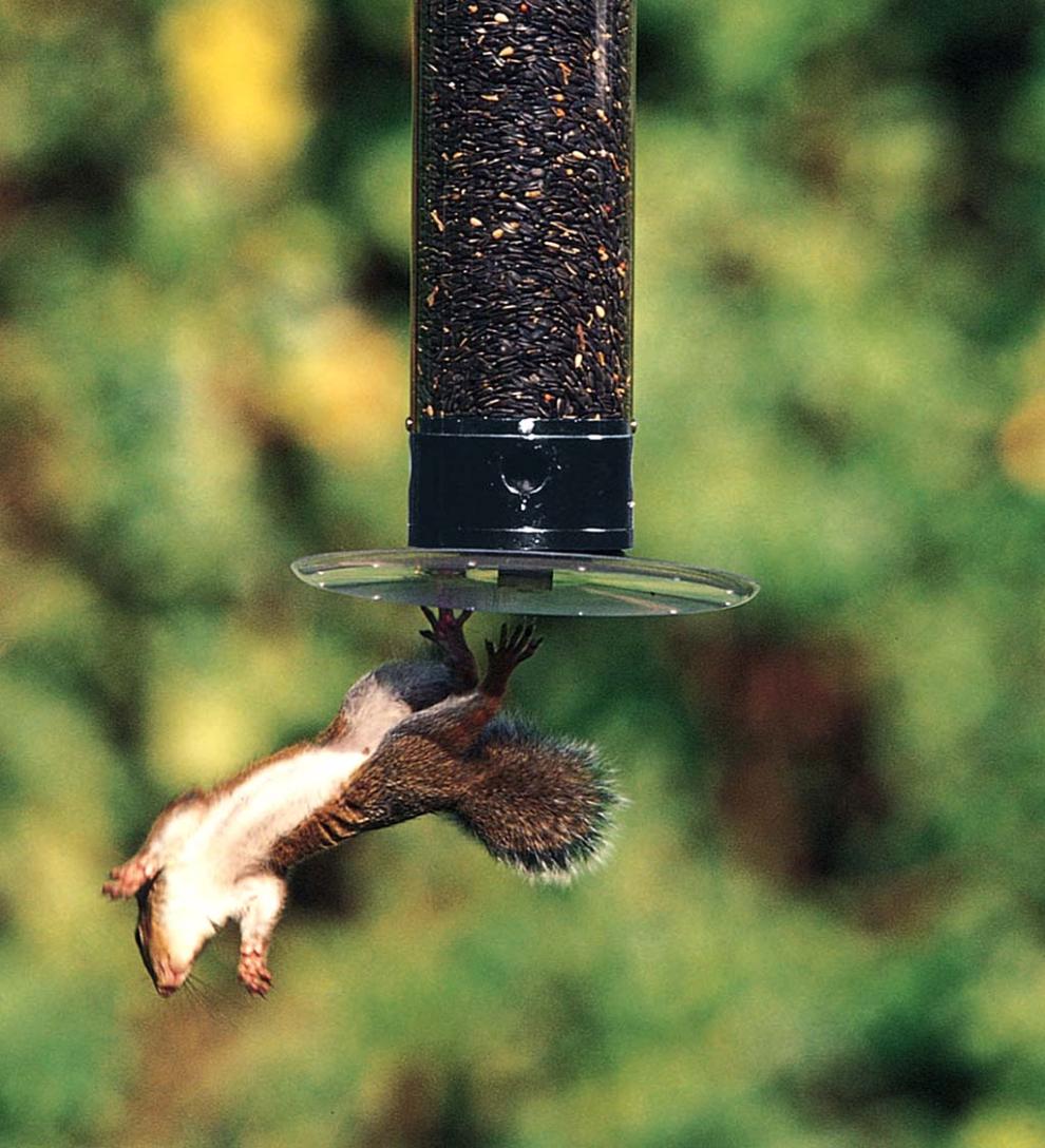 Plow & Hearth Bird Feeders Yard & Garden Yankee Tipper Bird Feeder