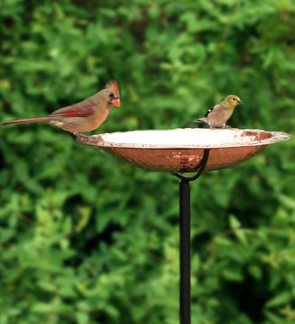 Plow & Hearth Birdbaths Yard & Garden Pure Copper Birdbath On Powder-Coated Steel Pole With Sturdy Three-Prong Stake