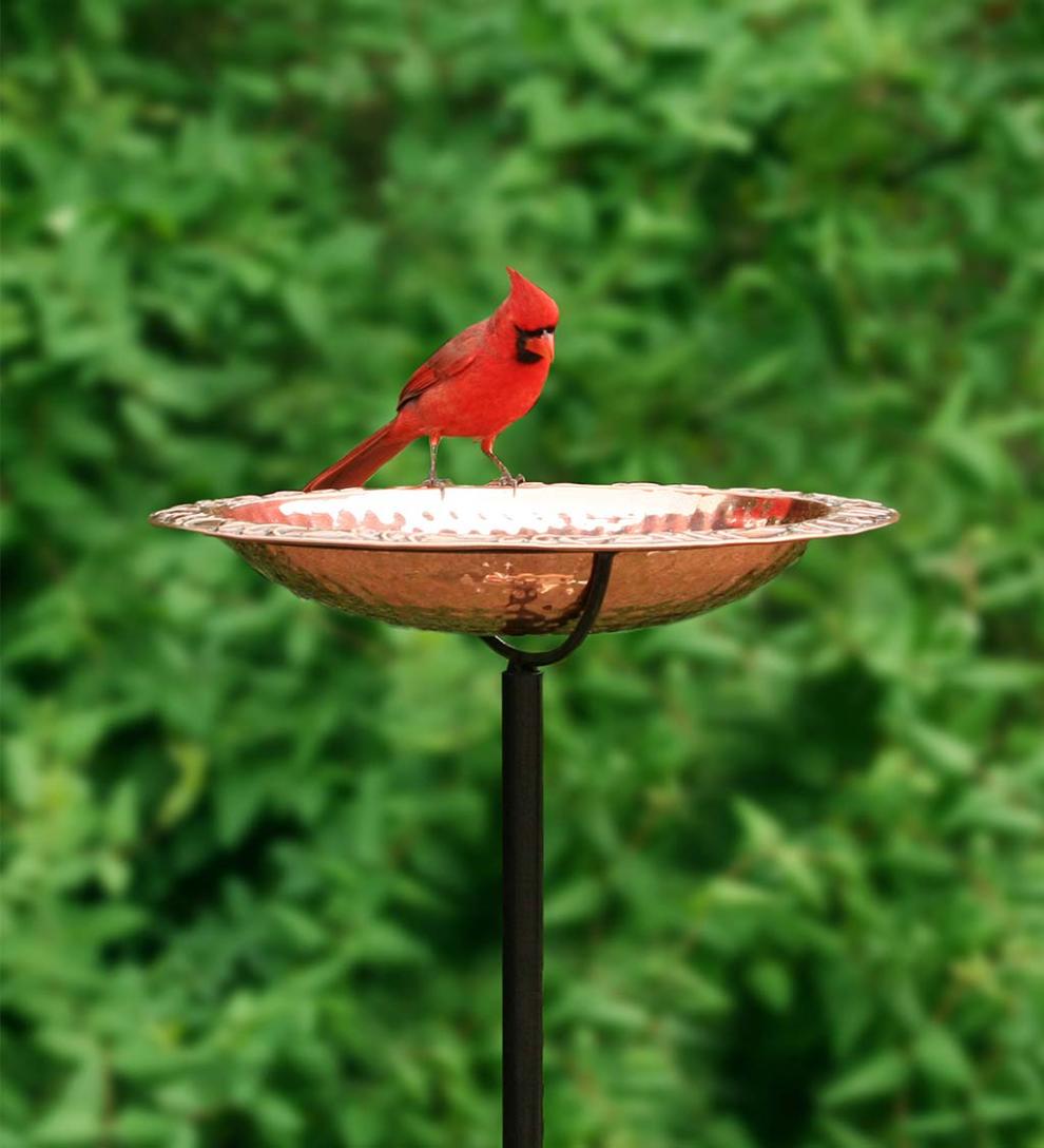 Plow & Hearth Birdbaths Yard & Garden Pure Copper Birdbath On Powder-Coated Steel Pole With Sturdy Three-Prong Stake