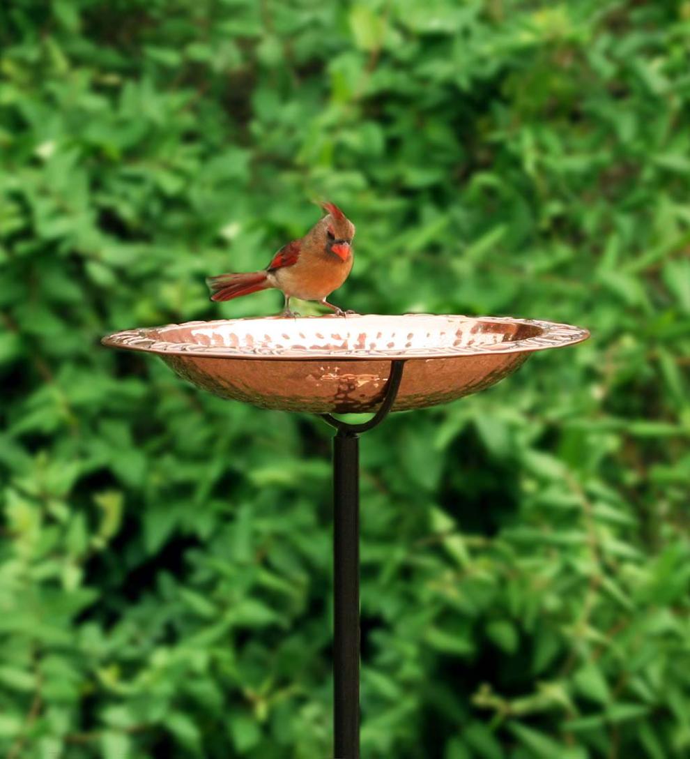 Plow & Hearth Birdbaths Yard & Garden Pure Copper Birdbath On Powder-Coated Steel Pole With Sturdy Three-Prong Stake
