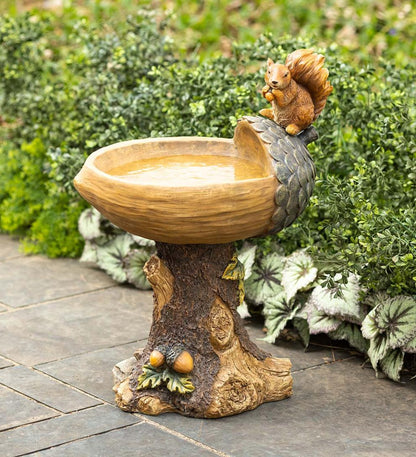 Plow & Hearth Birdbaths Yard & Garden Squirrel Birdbath With Tree Trunk Base And Acorn Basin
