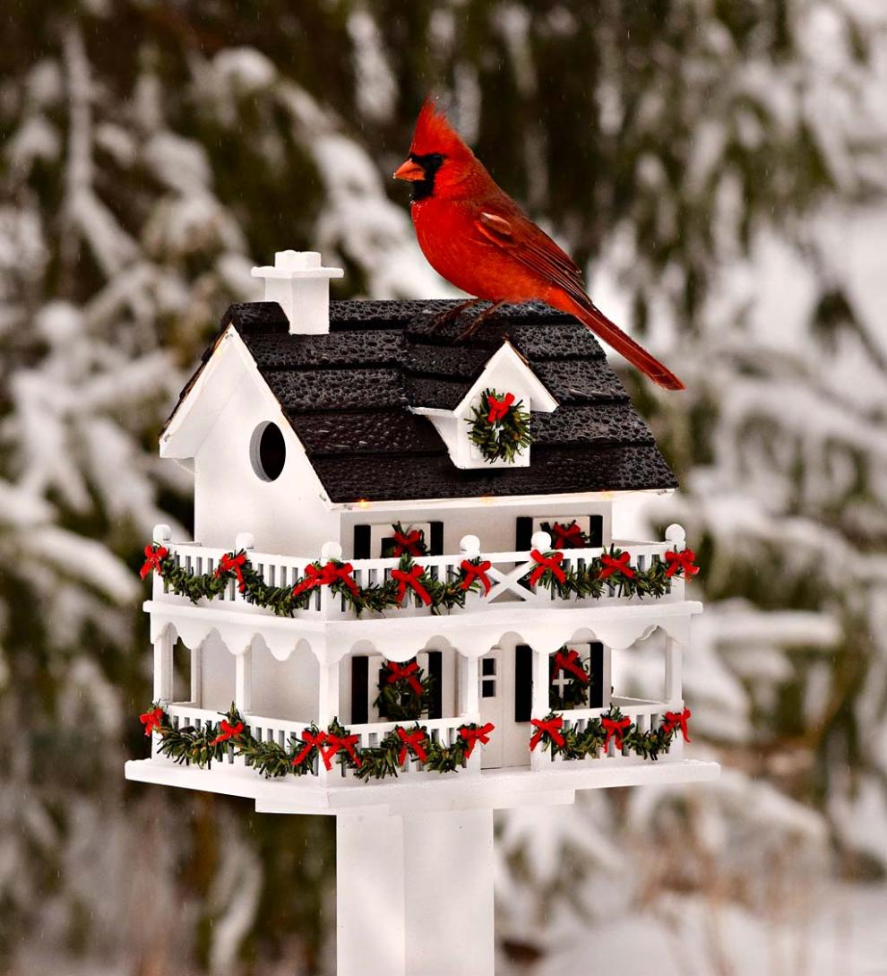 Plow & Hearth Birdhouses Yard & Garden Lighted Holiday Colonial Cottage Birdhouse And Pedestal Pole Set