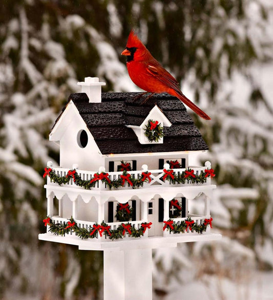 Plow & Hearth Birdhouses Yard & Garden Lighted Holiday Colonial Cottage Birdhouse And Pedestal Pole Set
