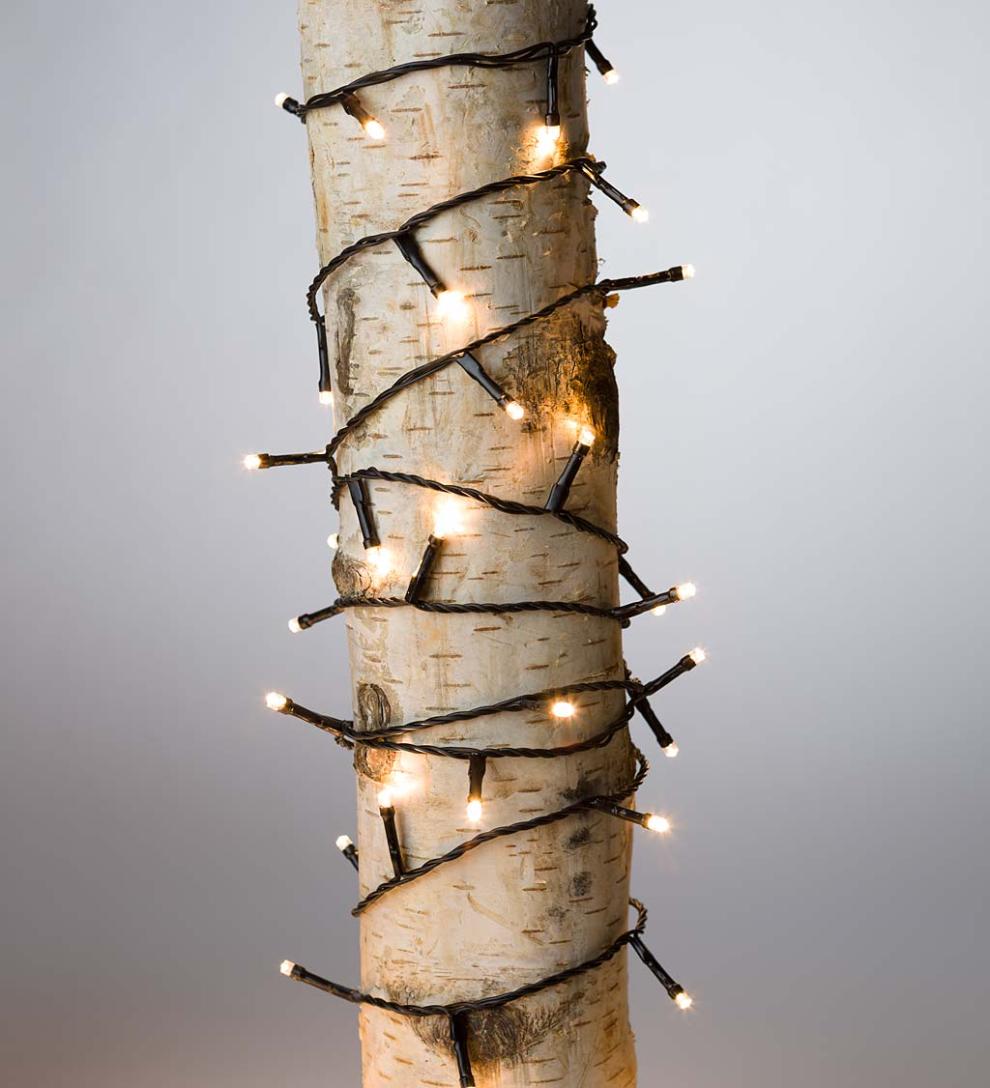Plow & Hearth Deck & Patio Accents Outdoor Living Multifunction Twinkle String Lights With Timer, Black Wire With White Or Multi Leds