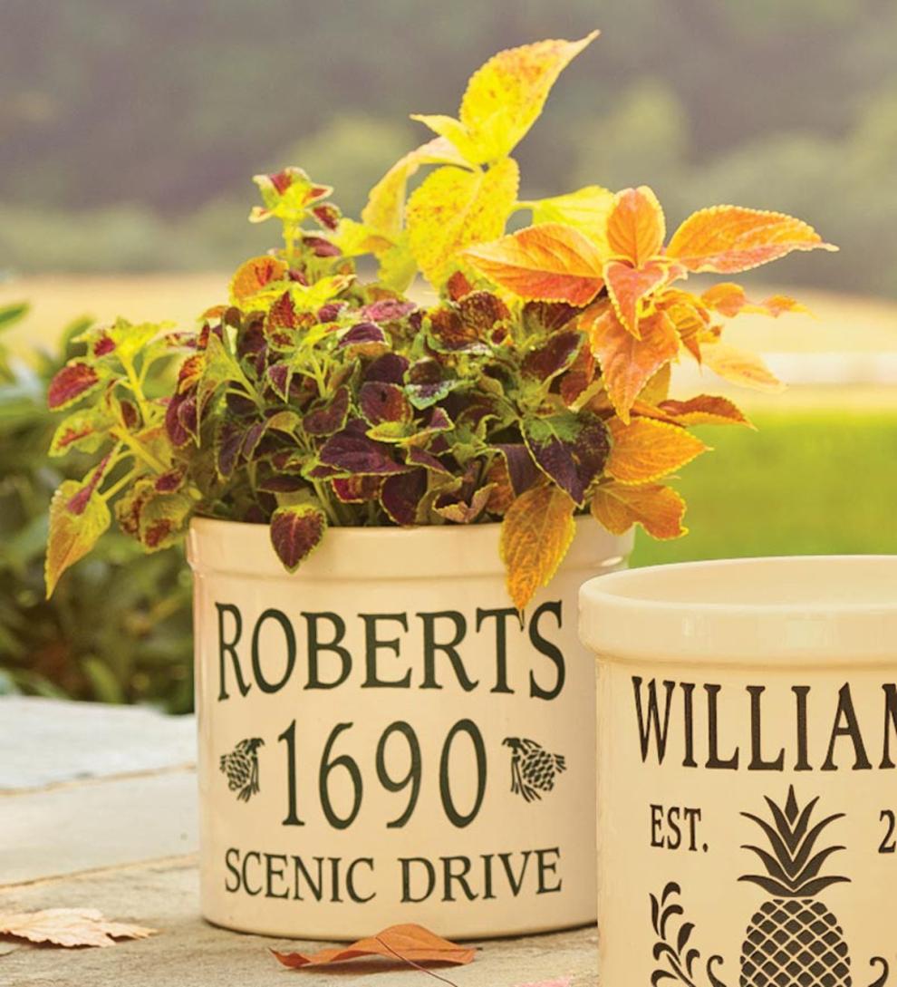Plow & Hearth Deck & Patio Accents Outdoor Living Pine Cone-Styled Personalized Crock - Black