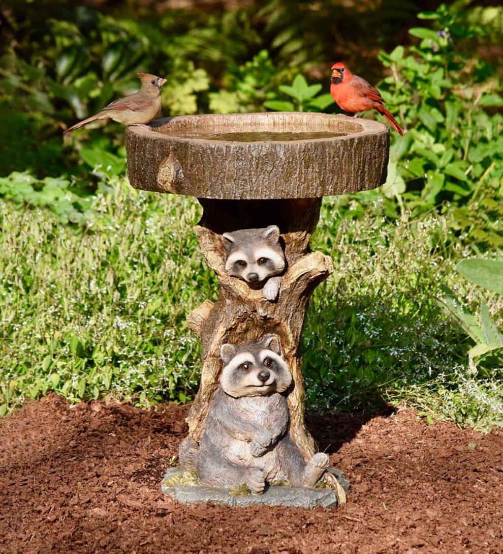 Plow & Hearth Deck & Patio Accents Outdoor Living Resin Raccoon Birdbath