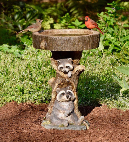 Plow & Hearth Deck & Patio Accents Outdoor Living Resin Raccoon Birdbath