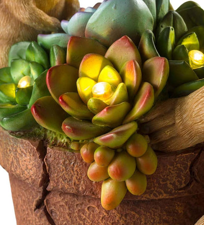 Plow & Hearth Deck & Patio Accents Outdoor Living Solar Succulent Hedgehogs Flower Pot Garden Statue