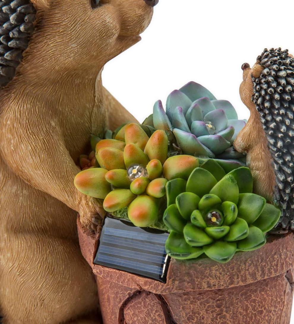 Plow & Hearth Deck & Patio Accents Outdoor Living Solar Succulent Hedgehogs Flower Pot Garden Statue