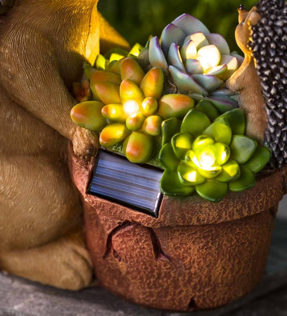 Plow & Hearth Deck & Patio Accents Outdoor Living Solar Succulent Hedgehogs Flower Pot Garden Statue