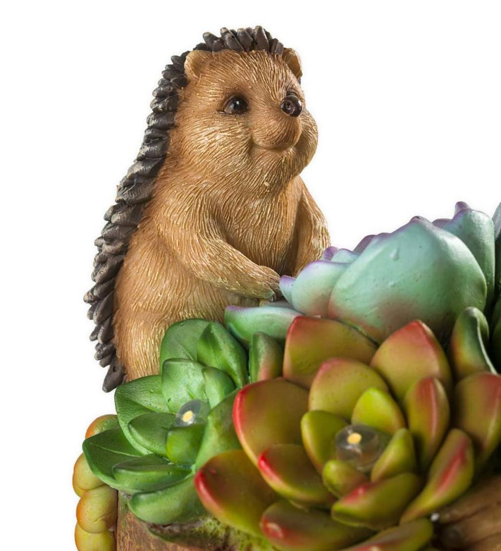Plow & Hearth Deck & Patio Accents Outdoor Living Solar Succulent Hedgehogs Flower Pot Garden Statue