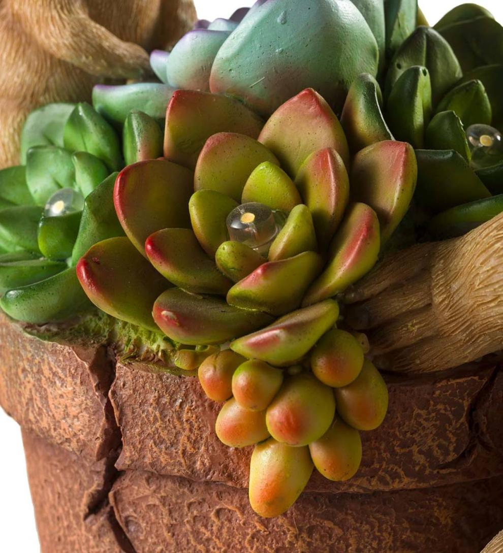 Plow & Hearth Deck & Patio Accents Outdoor Living Solar Succulent Hedgehogs Flower Pot Garden Statue