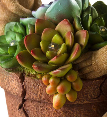 Plow & Hearth Deck & Patio Accents Outdoor Living Solar Succulent Hedgehogs Flower Pot Garden Statue