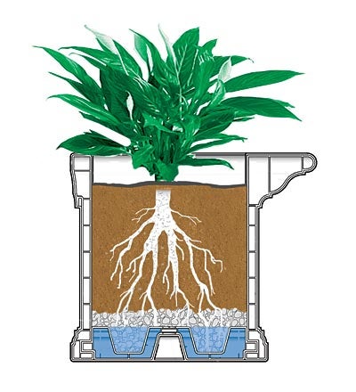 Plow & Hearth Deck Planters Outdoor Living Yorkshire Self-Watering Window Boxes