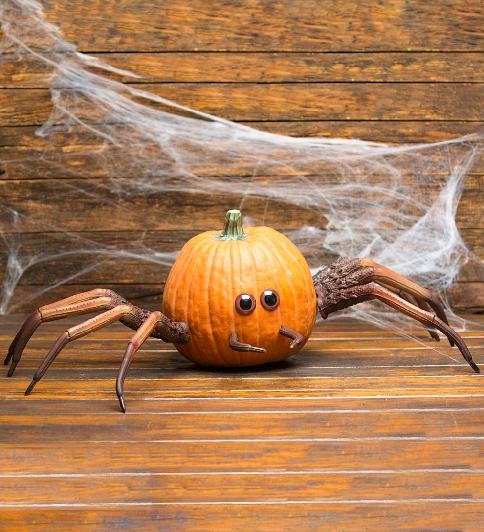 Plow & Hearth Decorative Garden Accents Yard & Garden Halloween Spider Pumpkin Appendages, 6-Piece Set
