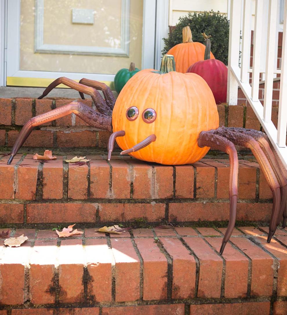 Plow & Hearth Decorative Garden Accents Yard & Garden Halloween Spider Pumpkin Appendages, 6-Piece Set