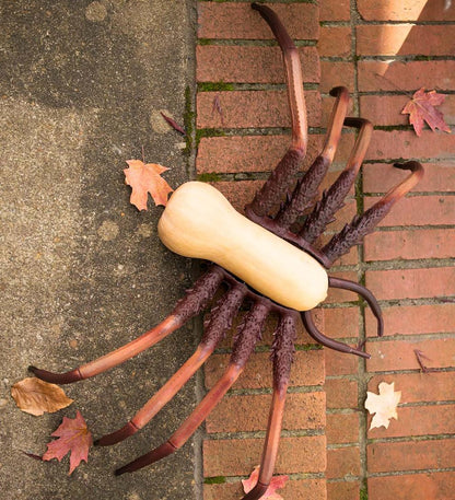 Plow & Hearth Decorative Garden Accents Yard & Garden Halloween Spider Pumpkin Appendages, 6-Piece Set