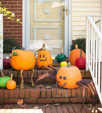 Plow & Hearth Decorative Garden Accents Yard & Garden Halloween Spider Pumpkin Appendages, 6-Piece Set