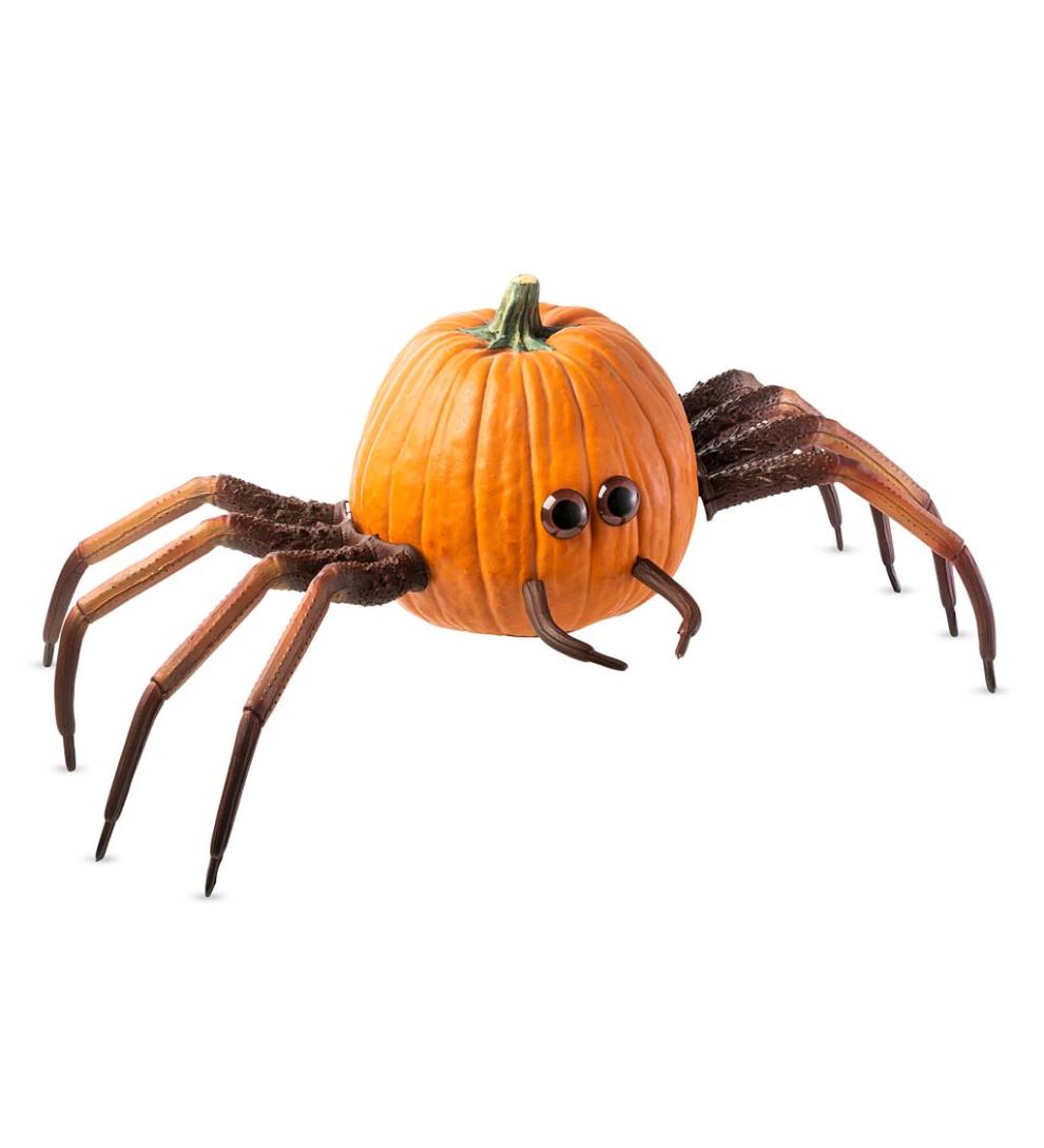 Plow & Hearth Decorative Garden Accents Yard & Garden Halloween Spider Pumpkin Appendages, 6-Piece Set