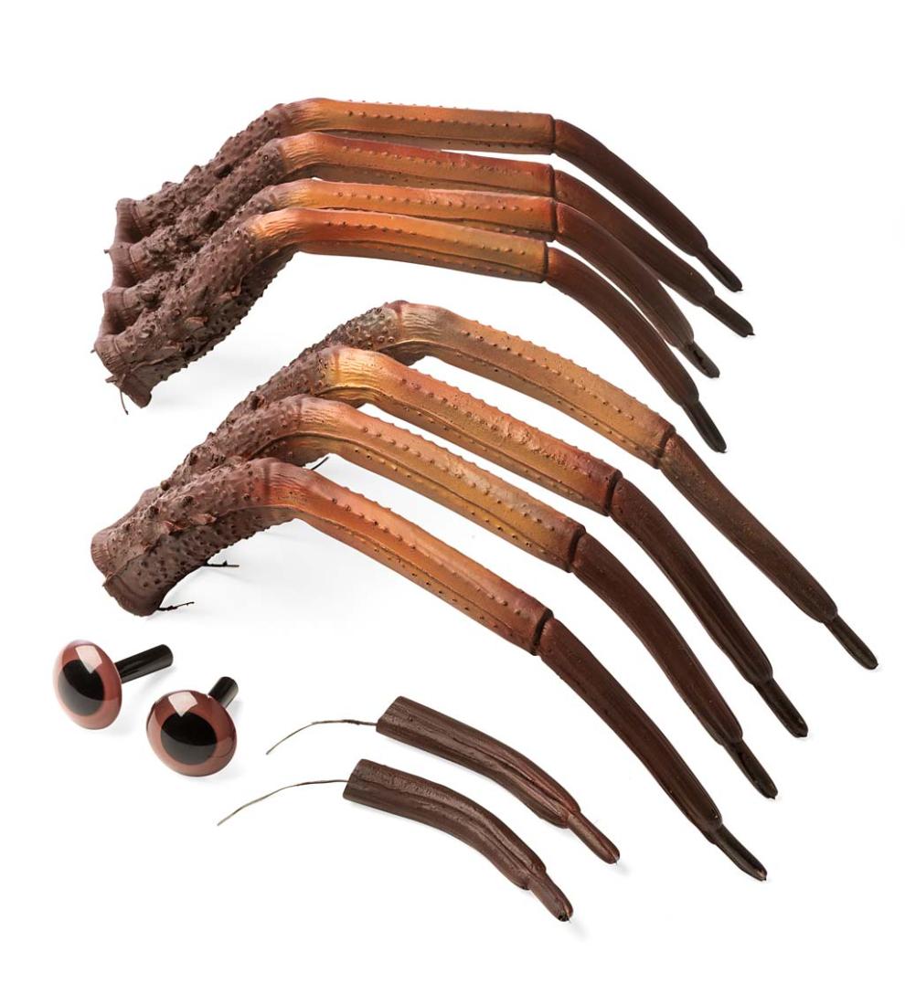 Plow & Hearth Decorative Garden Accents Yard & Garden Halloween Spider Pumpkin Appendages, 6-Piece Set