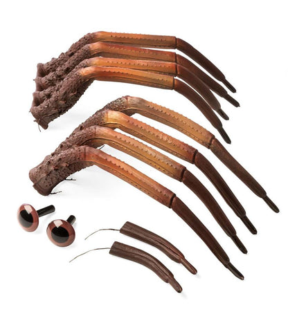 Plow & Hearth Decorative Garden Accents Yard & Garden Halloween Spider Pumpkin Appendages, 6-Piece Set