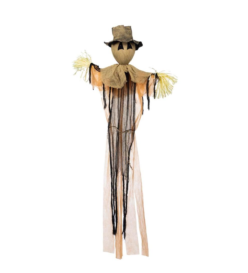 Plow & Hearth Decorative Garden Accents Yard & Garden Spooky Scarecrow With Color-Changing Lights