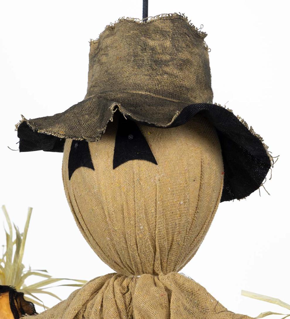 Plow & Hearth Decorative Garden Accents Yard & Garden Spooky Scarecrow With Color-Changing Lights