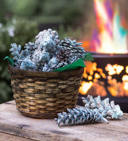 Plow & Hearth Fire Starters & Fatwood Fireplace & Hearth Color-Changing Fireplace Color Cones