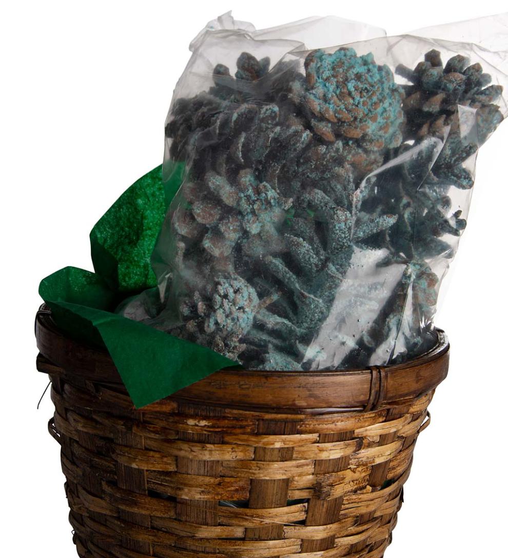 Plow & Hearth Fire Starters & Fatwood Fireplace & Hearth Color-Changing Fireplace Color Cones