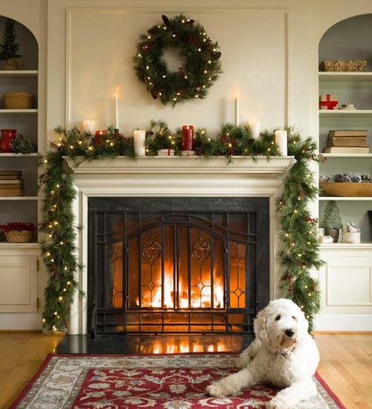 Plow & Hearth Fireplace Screens With Doors Fireplace & Hearth Two-Door Fireplace Screen With Glass Floral Panels