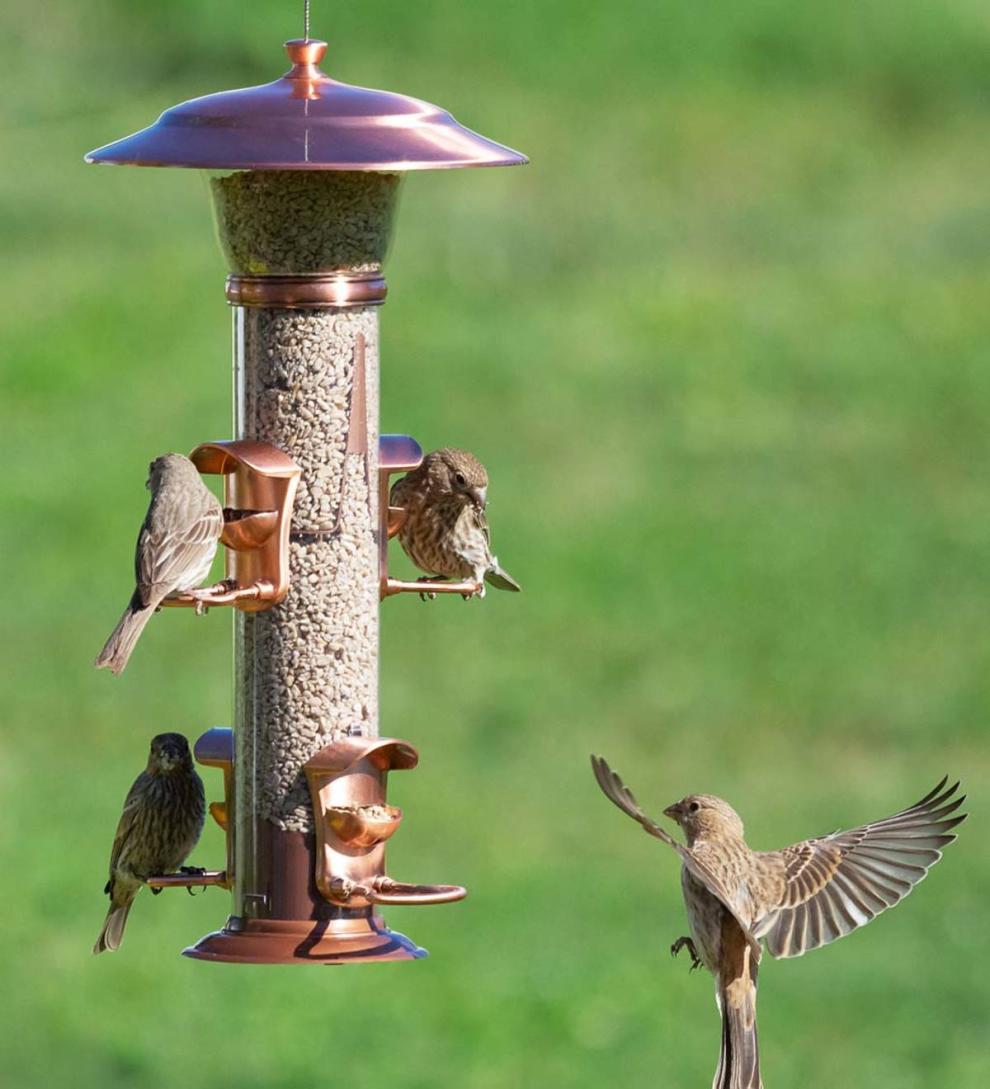 Plow & Hearth Garden Accents Yard & Garden Copper-Finished Hanging Tube Bird Feeder