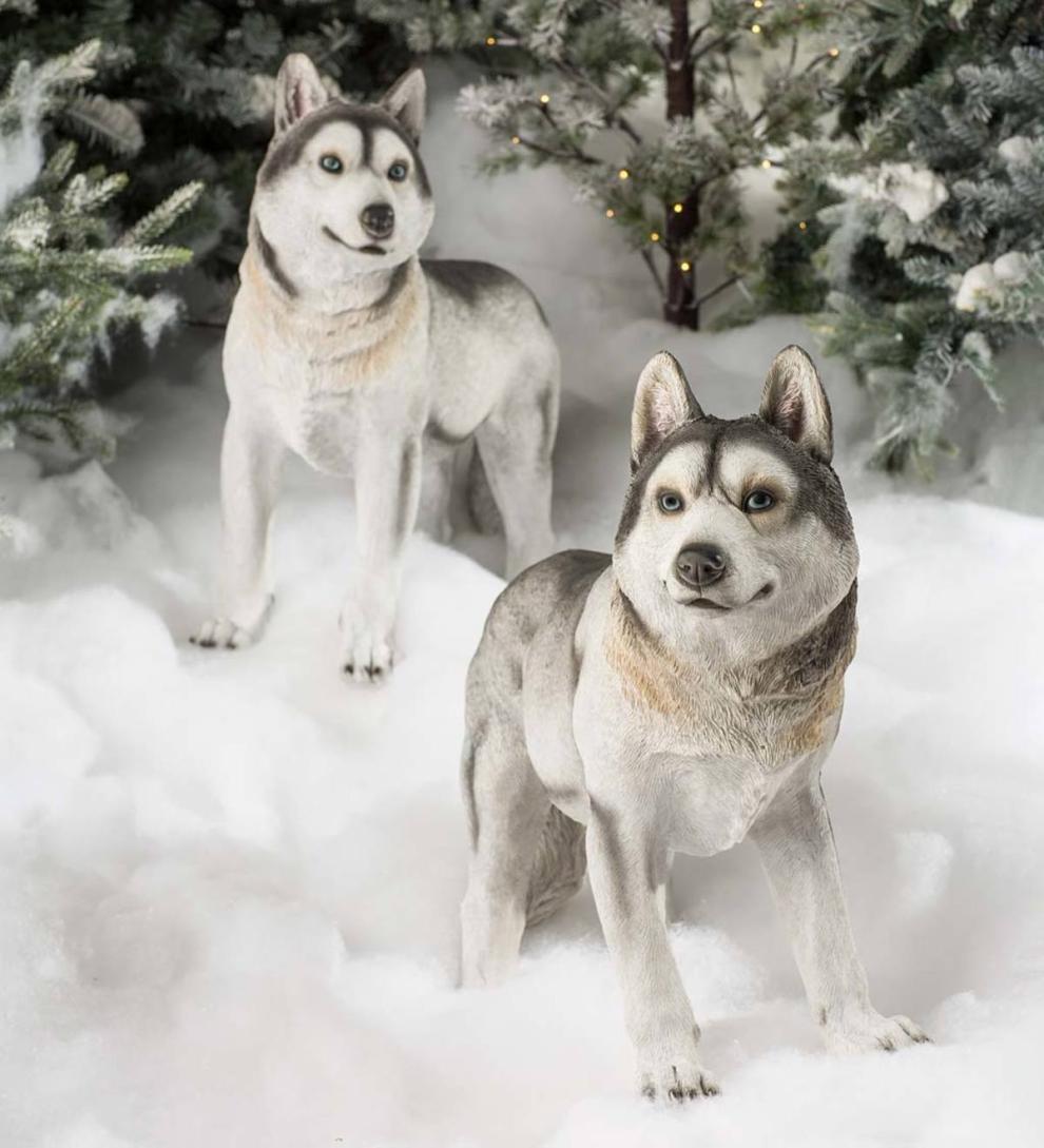 Plow & Hearth Garden Accents Yard & Garden Siberian Husky Dog Statue - Looking Left