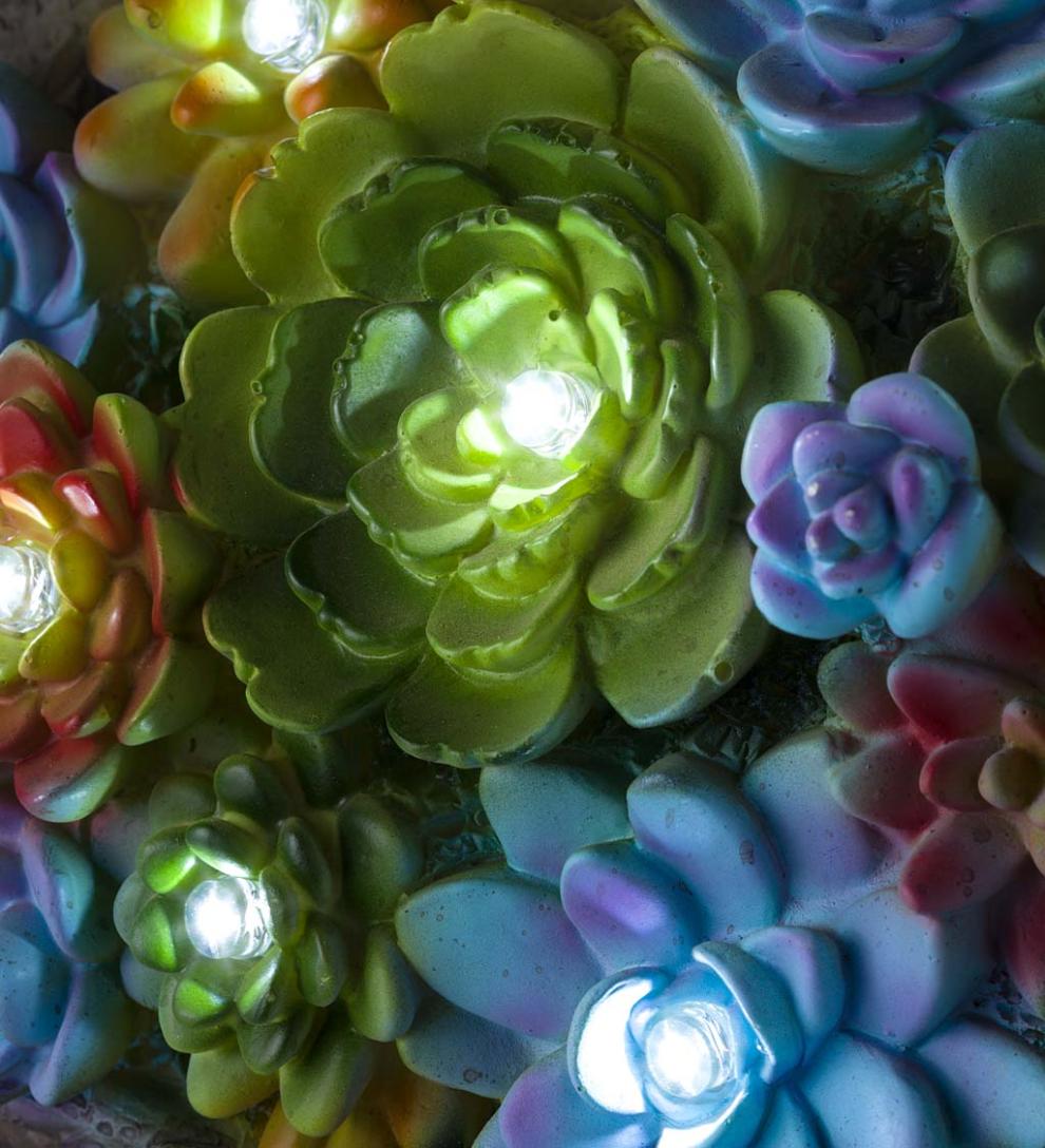 Plow & Hearth Garden Accents Yard & Garden Solar Lighted Succulent Resin Animal Garden Statue - Bunny