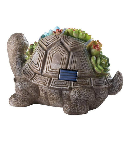 Plow & Hearth Garden Accents Yard & Garden Solar Succulent Turtle Garden Statue - Turtle