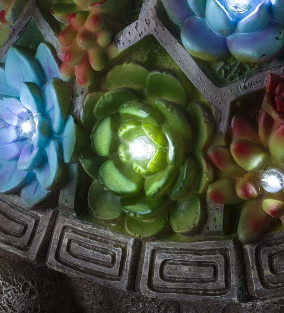 Plow & Hearth Garden Accents Yard & Garden Solar Succulent Turtle Garden Statue - Turtle