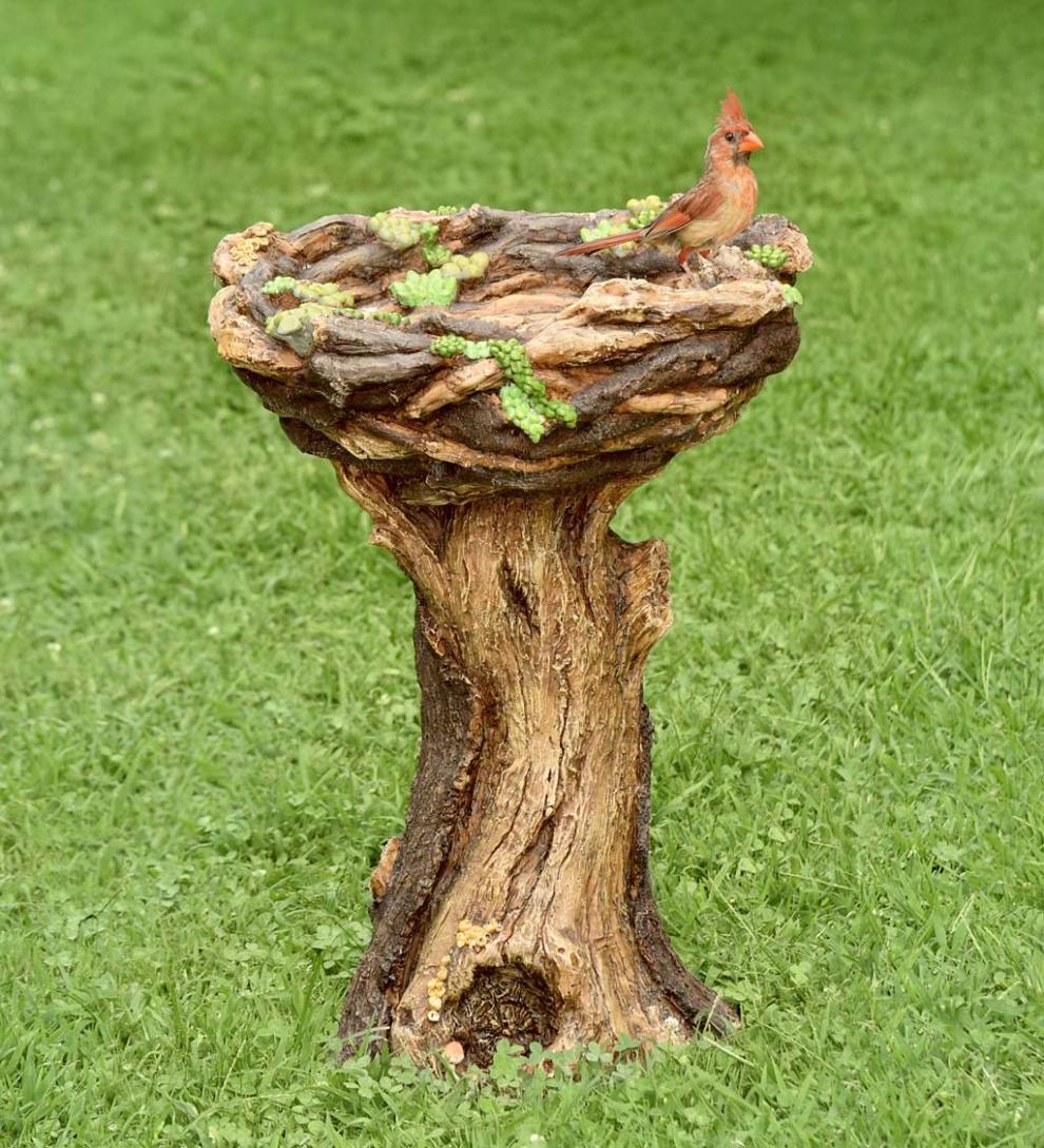 Plow & Hearth Garden Accents Yard & Garden Succulent Bird Nest Tree Stump Birdbath