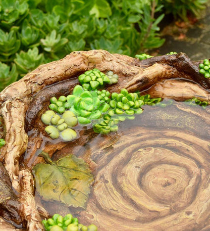 Plow & Hearth Garden Accents Yard & Garden Succulent Bird Nest Tree Stump Birdbath