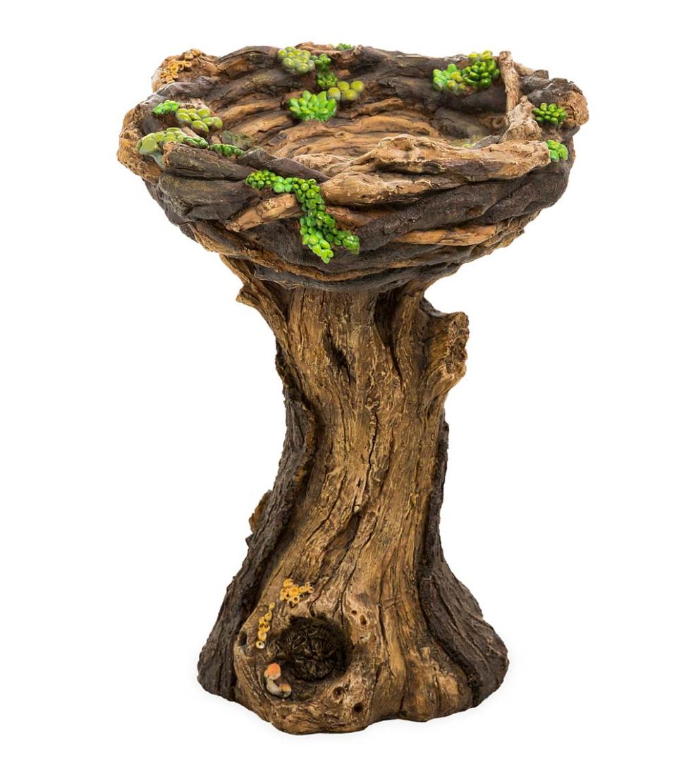 Plow & Hearth Garden Accents Yard & Garden Succulent Bird Nest Tree Stump Birdbath