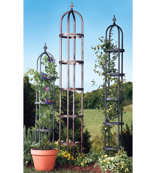 Plow & Hearth Gardenworks® Yard & Garden Powder-Coated Steel Garden Obelisks And Basket Planter