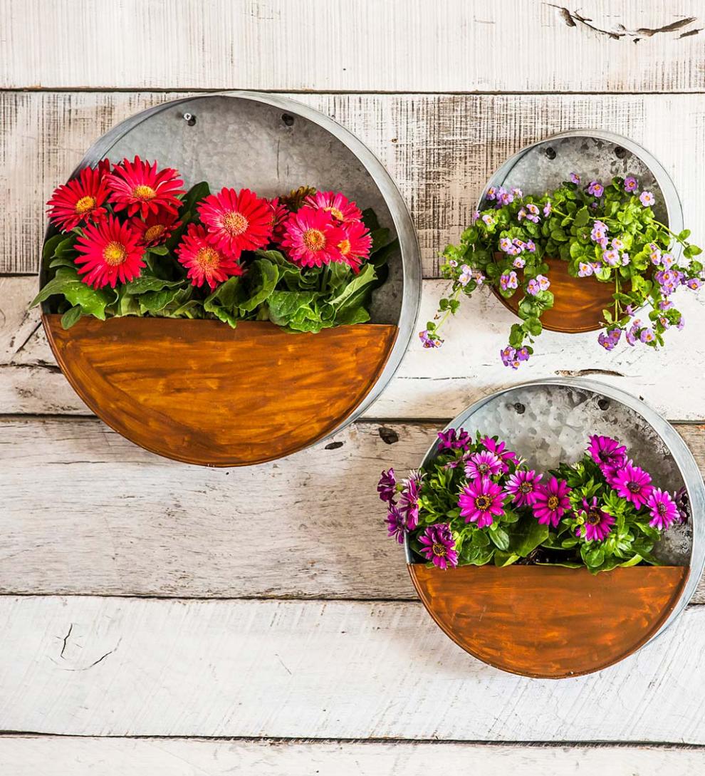 Plow & Hearth Home Accents Indoor Living Galvanized Metal Round Wall Planter