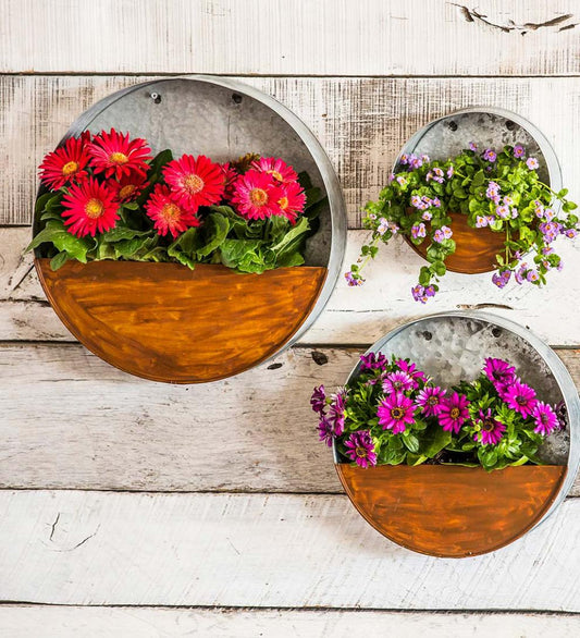Plow & Hearth Home Accents Indoor Living Galvanized Metal Round Wall Planter