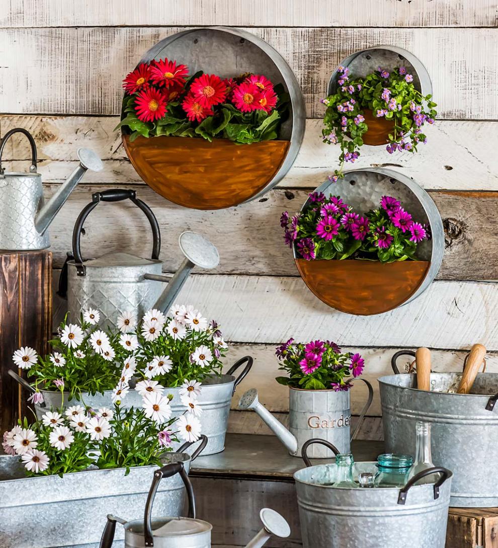 Plow & Hearth Home Accents Indoor Living Galvanized Metal Round Wall Planter