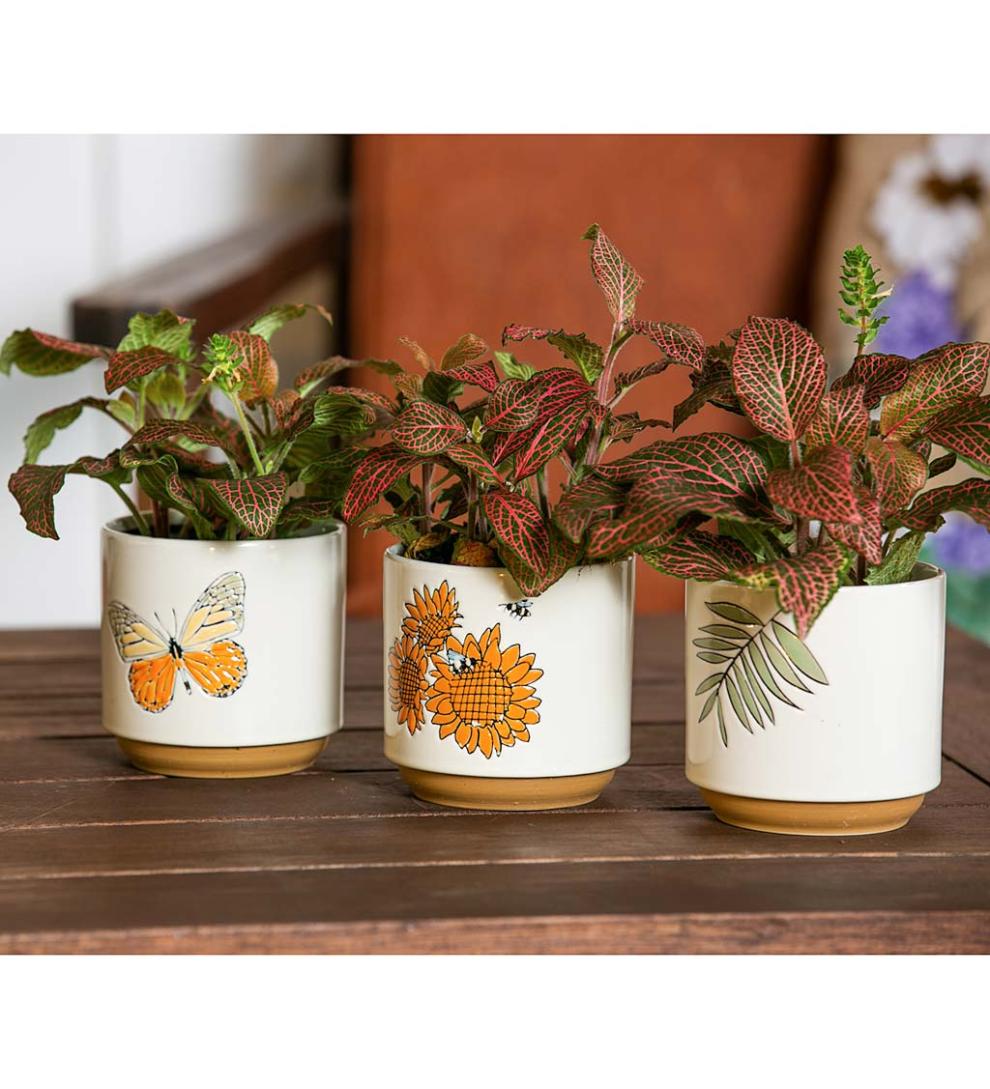Plow & Hearth Home Accents Indoor Living Harvest Ceramic Cachepots, Set Of 3