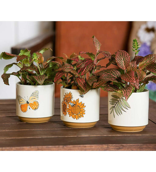 Plow & Hearth Home Accents Indoor Living Harvest Ceramic Cachepots, Set Of 3