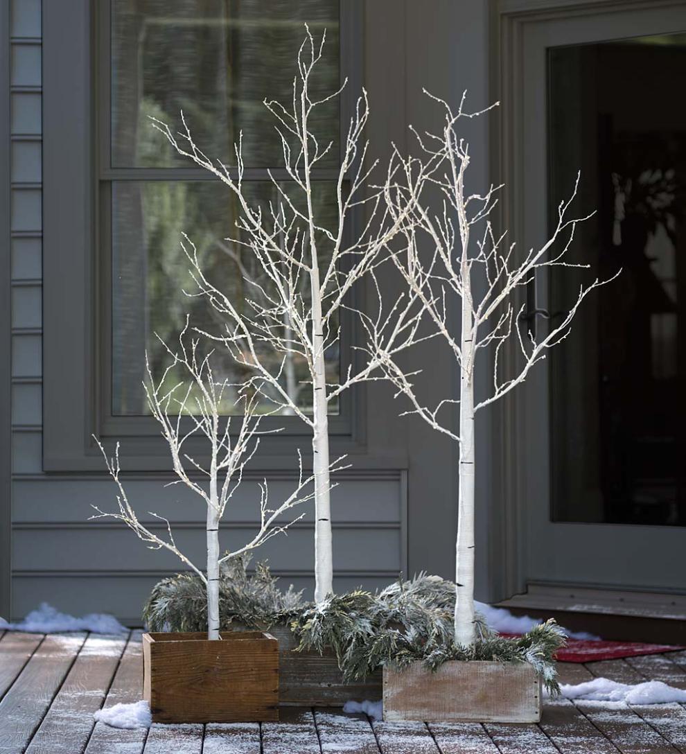 Plow & Hearth Home Accents Indoor Living Indoor/Outdoor Birch Tree With Micro Lights