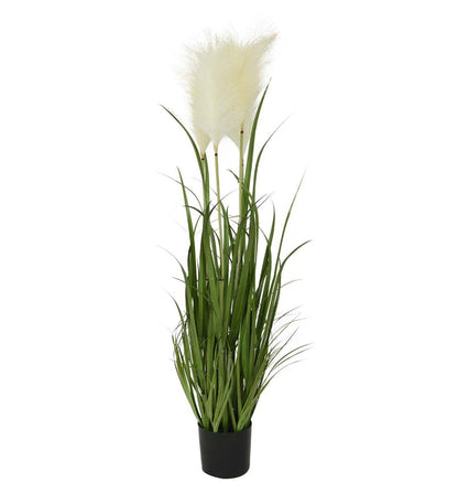 Plow & Hearth Home Accents Indoor Living Indoor/Outdoor Faux Pampas Grass Potted Plant