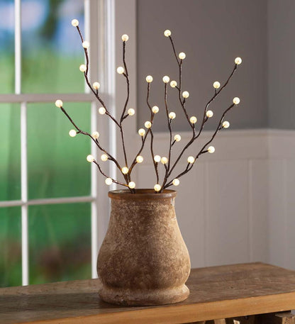 Plow & Hearth Home Accents Indoor Living Indoor/Outdoor Lighted Mini Globe Branches, Set Of 2