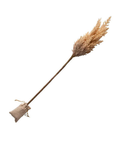 Plow & Hearth Home Accents Indoor Living Lighted Faux Pampas Grass Branches, Set Of 2 - Caramel